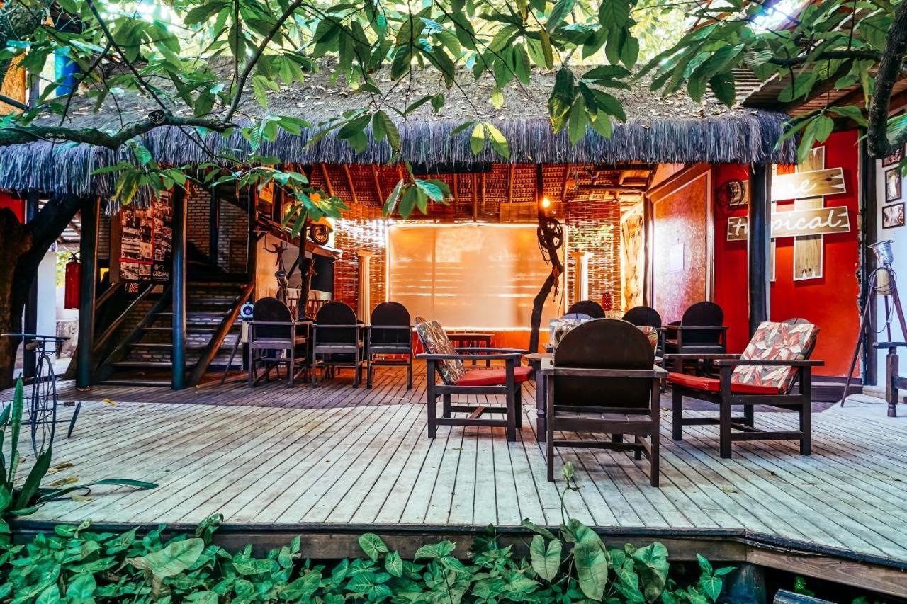 Inn Fruta Pao Barra Grande (Bahia)