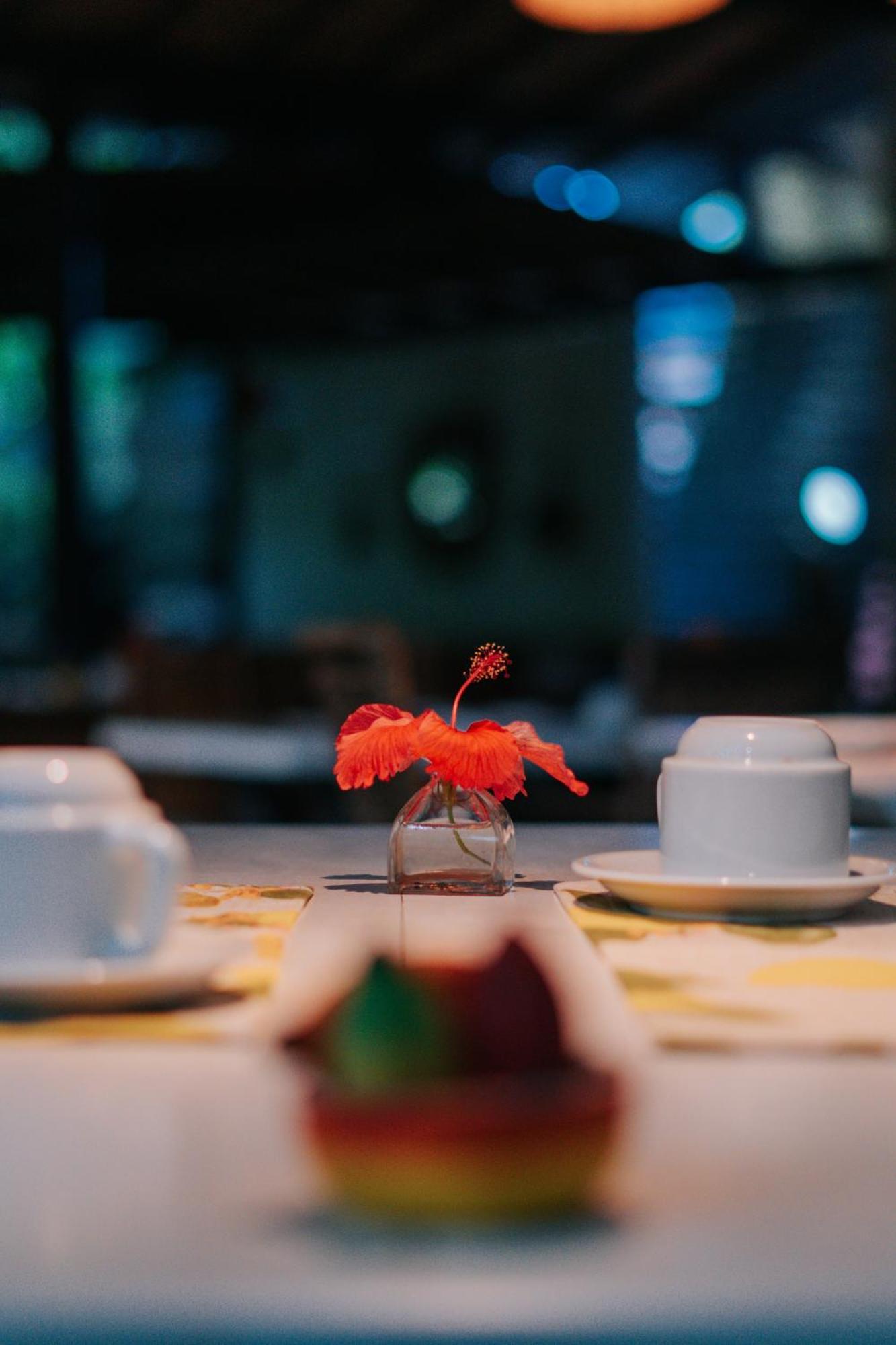 Fruta Pao 賓館 Maraú